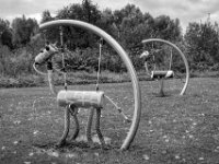 Schöne, exotische Figuren  PENTAX K-3 Mark III Monochrome, HD PENTAX - DA* 2.8/16-50 ED PLM AW  - 02.10.2024 -