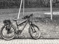 Stop am Spielplatz  PENTAX K-3 Mark III Monochrome, HD PENTAX - DA* 2.8/16-50 ED PLM AW  - 02.10.2024 -