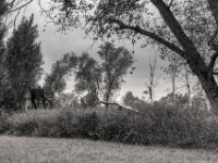 Hobbyplatz zum Töten  PENTAX K-3 Mark III Monochrome, HD PENTAX - DA* 2.8/16-50 ED PLM AW  - 02.10.2024 -