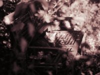 Ruheplatz im Garten  Pentax Super A, SMC PENTAX-FA 1.8/77 Limited   - 03.11.2024 -