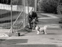 Tütenpflicht  PENTAX K-3 Mark III Monochrome, SMC PENTAX-FA 1.8/77 Limited   - 03.10.2024 -