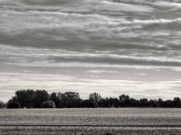 Morgenhimmel  PENTAX K-3 Mark III Monochrome, SMC PENTAX-FA 1.8/77 Limited   - 03.10.2024 -