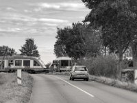 Der Niederrheiner  PENTAX K-3 Mark III Monochrome, SMC PENTAX-FA 1.8/77 Limited   - 03.10.2024 -