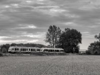 Schon vorüber  PENTAX K-3 Mark III Monochrome, SMC PENTAX-FA 1.8/77 Limited   - 03.10.2024 -