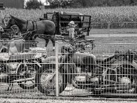 Oldtimer - Zweiräder #10  PENTAX K-3 Mark III Monochrome, SMC PENTAX-FA 1.8/77 Limited   - 03.10.2024 -