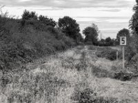 Tote Bahnstrecke  PENTAX K-3 Mark III Monochrome, SMC PENTAX-FA 1.8/77 Limited   - 03.10.2024 -