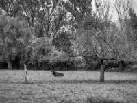 Abseits  PENTAX K-3 Mark III Monochrome, SMC PENTAX-FA 1.8/77 Limited   - 03.10.2024 -