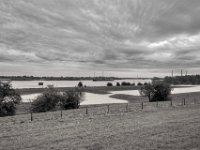 Der Rhein  PENTAX K-3 Mark III Monochrome , HD PENTAX - DA* 2.8/ 11-18 ED DC AW   - 05.04.2024 -