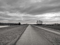 Auf dem Rheindeich  PENTAX K-3 Mark III Monochrome , HD PENTAX - DA* 2.8/ 11-18 ED DC AW   - 05.04.2024 -