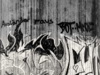 Bis die rechte Dummheit zuschlug  PENTAX K-3 Mark III Monochrome , HD PENTAX - DA* 2.8/ 11-18 ED DC AW   - 05.04.2024 -