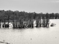 Tief im Wasser  PENTAX K-3 Mark III Monochrome , HD PENTAX - DA* 2.8/ 11-18 ED DC AW   - 05.04.2024 -