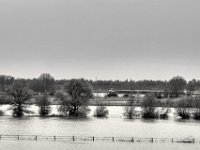 Der Rhein hat sich breit gemacht  PENTAX K-3 Mark III Monochrome , HD PENTAX - DA* 2.8/ 11-18 ED DC AW   - 05.04.2024 -