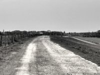 Auf dem Deich  PENTAX K-3 Mark III Monochrome , HD PENTAX - DA* 2.8/ 11-18 ED DC AW   - 05.04.2024 -