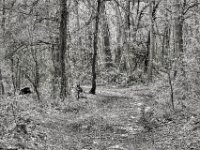 Testerberger Wege  PENTAX K-3 Mark III Monochrome , HD PENTAX - DA* 2.8/ 11-18 ED DC AW   - 05.04.2024 -