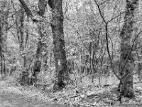 Hinweis am Waldweg