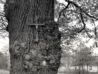 Alex  PENTAX K-3 Mark III Monochrome , HD PENTAX - DA* 2.8/ 11-18 ED DC AW   - 05.04.2024 -