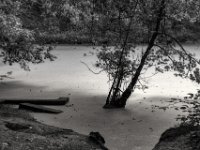 Stilles Wasser  PENTAX K-3 Mark III Monochrome, HD PENTAX - D FA* 1.4/50 SDM AW  - 05.07.2024 -