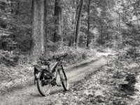 Fotostop in der Hees  PENTAX K-3 Mark III Monochrome, HD PENTAX - D FA* 1.4/50 SDM AW  - 05.07.2024 -