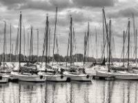 Segelboote am Anleger  PENTAX K-3 Mark III Monochrome, HD PENTAX - D FA* 1.4/50 SDM AW  - 05.07.2024 -