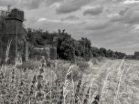 Zerstörtes Eisenbahnviadukt  PENTAX K-3 Mark III Monochrome, HD PENTAX - D FA* 1.4/50 SDM AW  - 05.07.2024 -