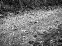 Ende des Weges  PENTAX K-3 Mark III Monochrome, HD PENTAX - D FA* 1.4/50 SDM AW  - 05.07.2024 -