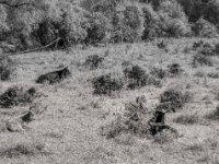 Ruhephase  PENTAX K-3 Mark III Monochrome, HD PENTAX - D FA* 1.4/50 SDM AW- 04.06.2024 -