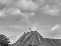 Der Storch auf dem Dach  PENTAX K-3 Mark III Monochrome, HD PENTAX - D FA* 1.4/50 SDM AW- 04.06.2024 -