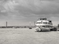 Germania in Rees  PENTAX K-3 Mark III Monochrome, HD PENTAX - D FA* 1.4/50 SDM AW- 04.06.2024 -