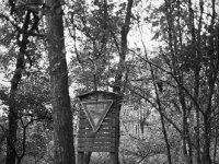 Hinweis im Wald  Fuji GS645S professional, wide 60, Kodak Tri-X 400   - 06.10.2024 -