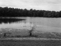 See mit Schwänen #2  Fuji GS645S professional, wide 60, Kodak Tri-X 400   - 06.10.2024 -