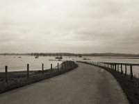 Das Hochwasser ist gestiegen  Pentax 67II, SMC Takumar 4.5/75, Bergger Pancro 400  - 07.01.2024 -