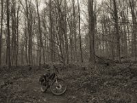 Quer durch die Hees  Pentax 67II, SMC Takumar 4.5/75, Bergger Pancro 400  - 07.01.2024 -