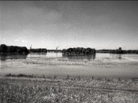 Rhein Hochwasser  Pentax 645N, Pentax SMC FA 2.8/45, Gelbfilter, Fuji Acros 100 II   - 07.06.2024 -