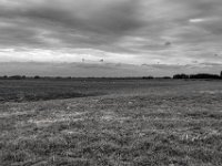 Bislicher Insel  PENTAX K-3 Mark III Monochrome, HD PENTAX - DA* 2.8/16-50 ED PLM AW  - 09.08.2024 -
