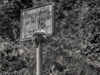 Häschen am Haken  PENTAX K-3 Mark III Monochrome, HD PENTAX - DA* 2.8/16-50 ED PLM AW  - 09.08.2024 -