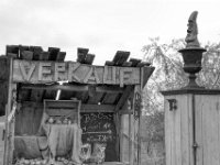 Die letzten Äpfel  PENTAX K-3 Mark III Monochrome, HD PENTAX - DA* 2.8/16-50 ED PLM AW - 15.11.2024 -