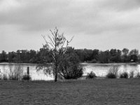 Am Rheinufer  PENTAX K-3 Mark III Monochrome, HD PENTAX - DA* 2.8/16-50 ED PLM AW - 15.11.2024 -