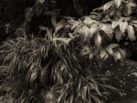 Warten  PENTAX K-3 Mark III Monochrome, HD PENTAX - DA* 2.8/16-50 ED PLM AW   - 09.10.2024 -