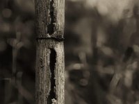 Baumaterial  PENTAX K-3 Mark III Monochrome, HD PENTAX - DA* 2.8/16-50 ED PLM AW   - 09.10.2024 -