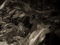 Ruhezustand  PENTAX K-3 Mark III Monochrome, HD PENTAX - DA* 2.8/16-50 ED PLM AW   - 09.10.2024 -