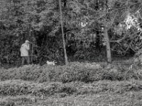 Hund und Handy  PENTAX K-3 Mark III Monochrome, SMC PENTAX-FA 1.9/43 Limited  -11.10.2024 -