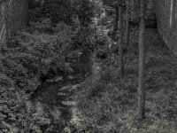 Alpsche Ley  PENTAX K-3 Mark III Monochrome, SMC PENTAX-FA 1.9/43 Limited  -11.10.2024 -