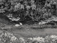 Bachlauf Ley #1  PENTAX K-3 Mark III Monochrome, SMC PENTAX-FA 1.9/43 Limited  -11.10.2024 -