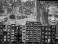 Feuchtes Stillleben  PENTAX K-3 Mark III Monochrome, SMC PENTAX-FA 1.9/43 Limited  -11.10.2024 -