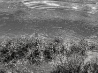 Rheinufer  PENTAX K-3 Mark III Monochrome, SMC PENTAX-FA 1.9/43 Limited  -11.10.2024 -
