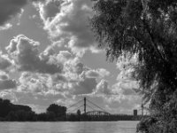 Rheinbrücken  PENTAX K-3 Mark III Monochrome, SMC PENTAX-FA 1.9/43 Limited  -11.10.2024 -