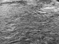 Emscherwasser  PENTAX K-3 Mark III Monochrome, SMC PENTAX-FA 1.9/43 Limited  -11.10.2024 -