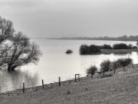 Trüber Morgen  PENTAX K-3 Mark III Monochrome , SMC Pentax-FA 1.9/43 Limited  -12.02.2024 -