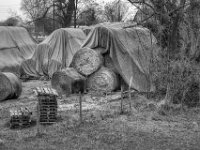 Strohballen  PENTAX K-3 Mark III Monochrome , SMC Pentax-FA 1.9/43 Limited  -12.02.2024 -