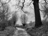 Landstraße  PENTAX K-3 Mark III Monochrome , SMC Pentax-FA 1.9/43 Limited  -12.02.2024 -